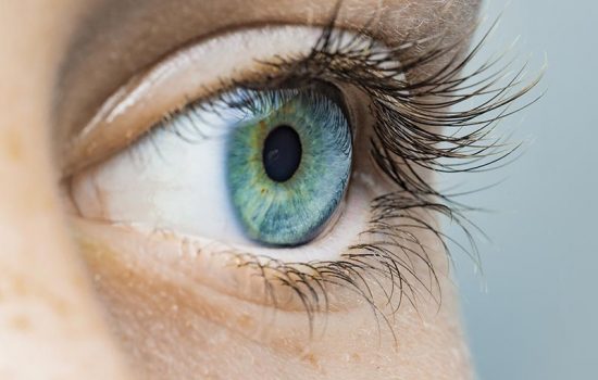 optimeas-losung-auge-550x350